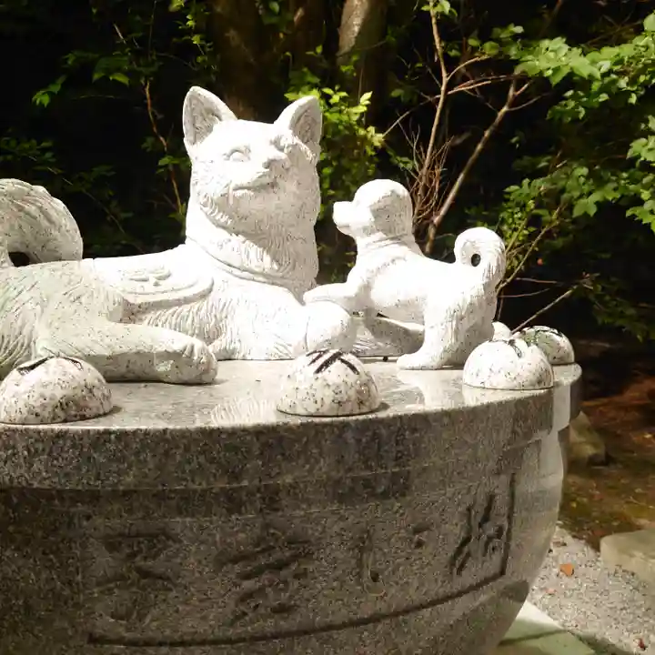 住吉神社の狛犬