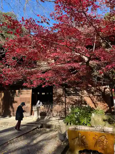 定光寺(愛知県)