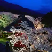 楽法寺(雨引観音)(茨城県)