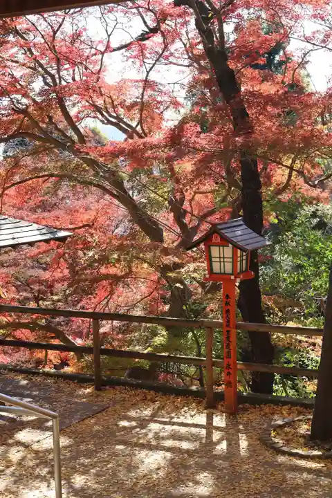 明王院(満願寺別院)の自然