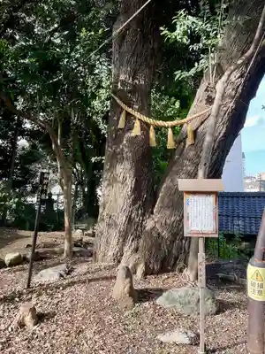 八景天祖神社(東京都)