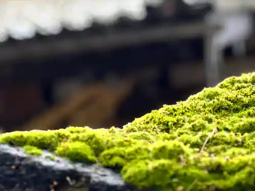 白鳥神社の自然