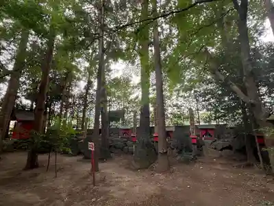 渋川八幡宮(群馬県)