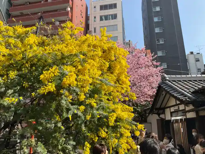 蔵前神社の自然