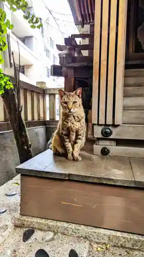 小野照崎神社の動物