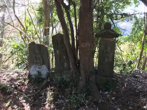 蓮見山神社の狛犬