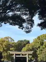 明治神宮の{uncategorized: "未分類", other: "その他", undefined: "問題あり", building: "その他建物", grave: "お墓", sacred_gate: "鳥居", guardian: "狛犬", statue: "像", buddha: "仏像", history: "歴史", nature: "自然", garden: "庭園", animal: "動物", pagoda: "塔", temizu: "手水舎", mountain_gate: "山門・神門", sanctuary: "本殿・本堂", subordinate: "末社・摂社", art: "芸術", scenery: "景色", jizo: "地蔵", ema: "絵馬", goshuin: "御朱印", omikuji: "おみくじ", items: "授与品その他", amulet: "お守り", goshuincho: "御朱印帳", eats: "食事", festival: "お祭り", votive_dance: "神楽", shichigosan: "七五三参", wedding: "結婚式", experience: "体験その他", initially: "初詣", around: "周辺", anti_infection: "感染症対策"}