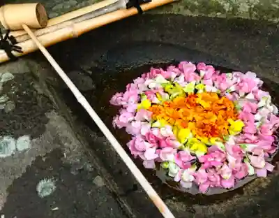 真言宗　善通寺派　薬王寺(香川県)
