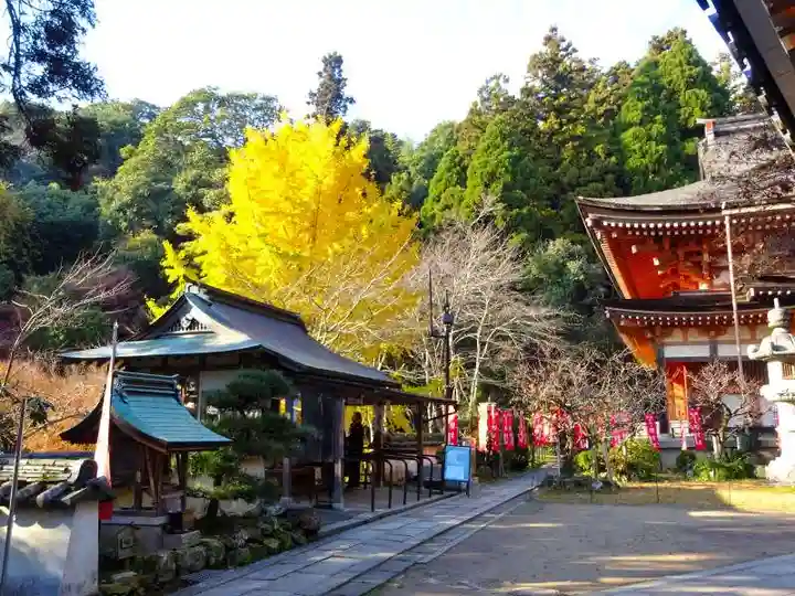 宝厳寺(滋賀県)