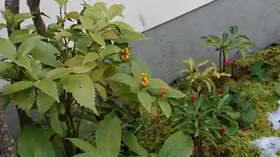 東林院(京都府)