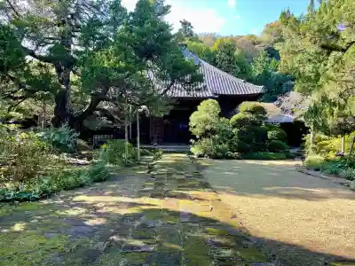 寿福寺(神奈川県)