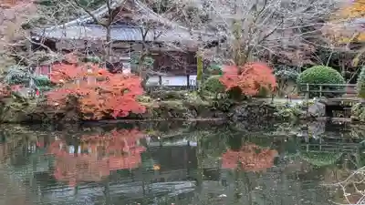 醍醐寺(京都府)