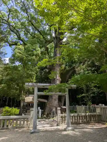 伊弉諾神宮(兵庫県)