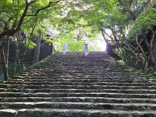 竹林寺(高知県)