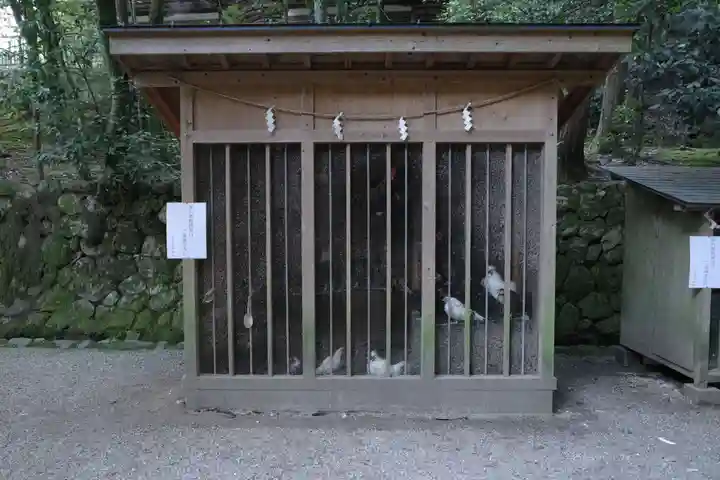 石上神宮(奈良県)