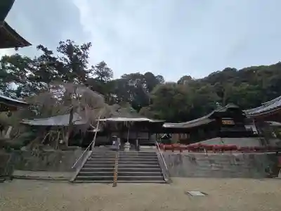 金剛寺(大阪府)