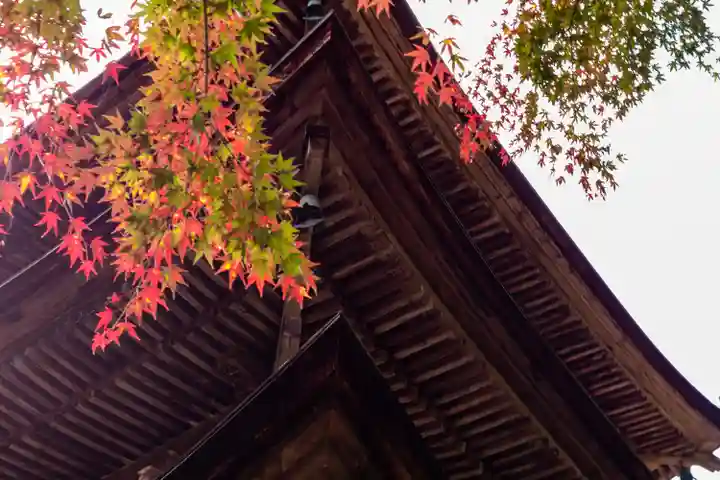 新海三社神社(長野県)