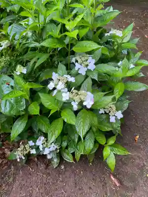 小御門神社(千葉県)