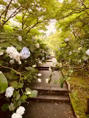 久安寺(大阪府)