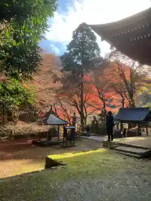 鰐淵寺の景色