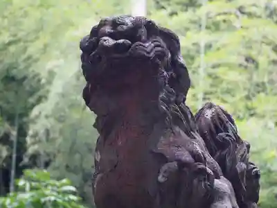 松尾寺(京都府)