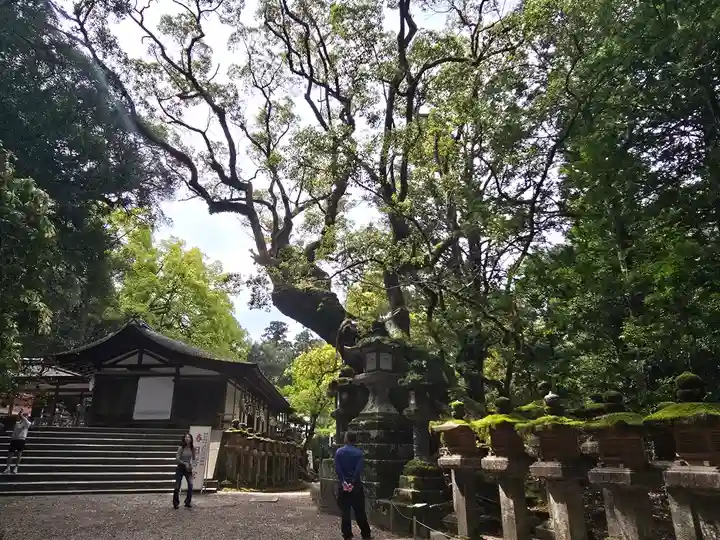 三輪神社(一童社)(奈良県)
