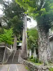 日枝神社(静岡県)