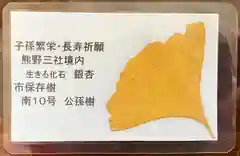 熊野三社(愛知県)