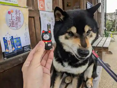 日本唯一香辛料の神　波自加彌神社(石川県)