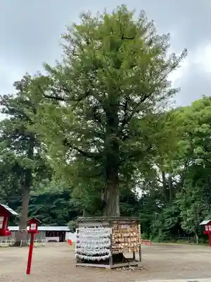 鷲宮神社のその他建物