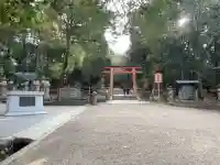 春日大社の{uncategorized: "未分類", other: "その他", undefined: "問題あり", building: "その他建物", grave: "お墓", sacred_gate: "鳥居", guardian: "狛犬", statue: "像", buddha: "仏像", history: "歴史", nature: "自然", garden: "庭園", animal: "動物", pagoda: "塔", temizu: "手水舎", mountain_gate: "山門・神門", sanctuary: "本殿・本堂", subordinate: "末社・摂社", art: "芸術", scenery: "景色", jizo: "地蔵", ema: "絵馬", goshuin: "御朱印", omikuji: "おみくじ", items: "授与品その他", amulet: "お守り", goshuincho: "御朱印帳", eats: "食事", festival: "お祭り", votive_dance: "神楽", shichigosan: "七五三参", wedding: "結婚式", experience: "体験その他", initially: "初詣", around: "周辺", anti_infection: "感染症対策"}