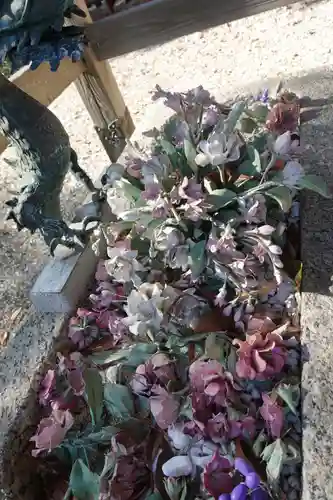 彌都加伎神社(三重県)