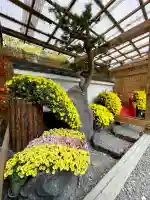 牛天神北野神社(東京都)