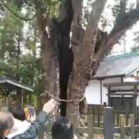 天宮神社(静岡県)
