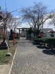 南線神社の建物その他