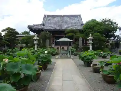 要法寺の本殿・本堂