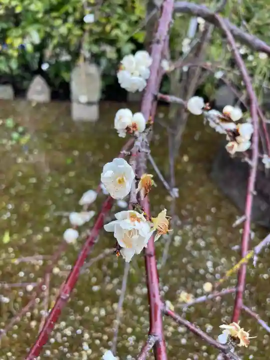 元興寺(奈良県)