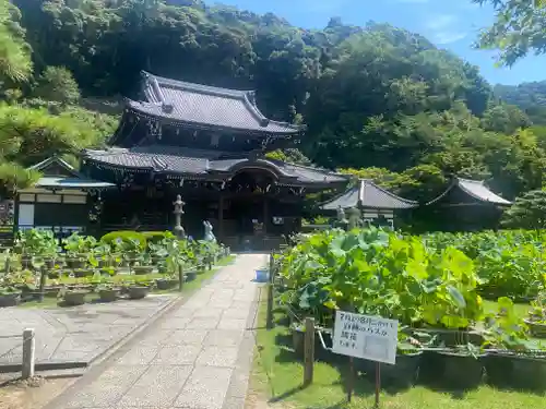 三室戸寺(京都府)