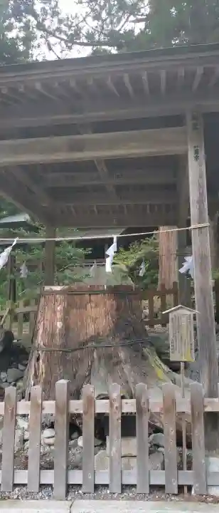 仁科神明宮の{uncategorized: "未分類", other: "その他", undefined: "問題あり", building: "その他建物", grave: "お墓", sacred_gate: "鳥居", guardian: "狛犬", statue: "像", buddha: "仏像", history: "歴史", nature: "自然", garden: "庭園", animal: "動物", pagoda: "塔", temizu: "手水舎", mountain_gate: "山門・神門", sanctuary: "本殿・本堂", subordinate: "末社・摂社", art: "芸術", scenery: "景色", jizo: "地蔵", ema: "絵馬", goshuin: "御朱印", omikuji: "おみくじ", items: "授与品その他", amulet: "お守り", goshuincho: "御朱印帳", eats: "食事", festival: "お祭り", votive_dance: "神楽", shichigosan: "七五三参", wedding: "結婚式", experience: "体験その他", initially: "初詣", around: "周辺", anti_infection: "感染症対策"}