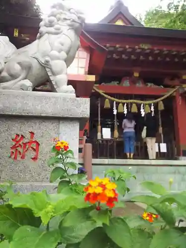 前川神社の狛犬