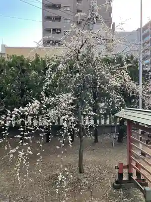 川口神社(埼玉県)