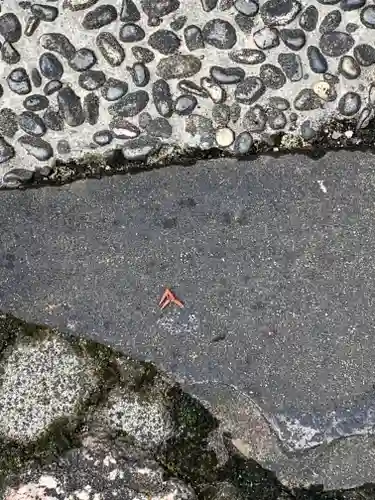 久度神社の自然