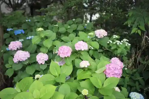 越谷香取神社の庭園