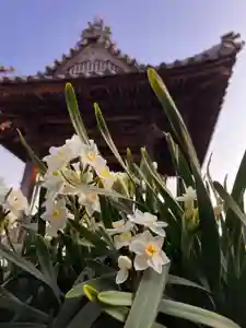 真言宗 善通寺派 薬王寺(香川県)(2025年03月24日(月) 18時57分36秒投稿)