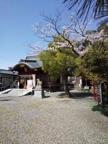 杉杜白髭神社の本殿