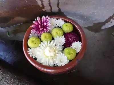 菅生神社の手水舎