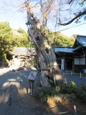伊古奈比咩命神社のその他建物