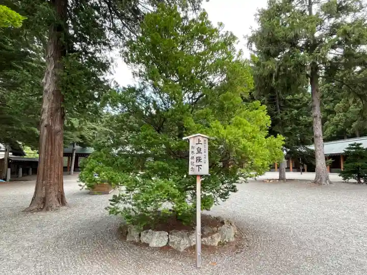 北海道神宮の自然