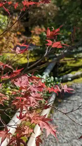 光悦寺(京都府)