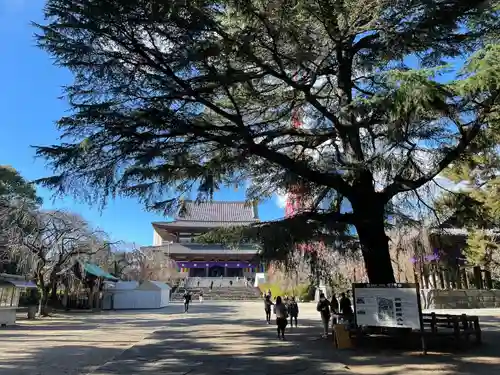 増上寺の景色